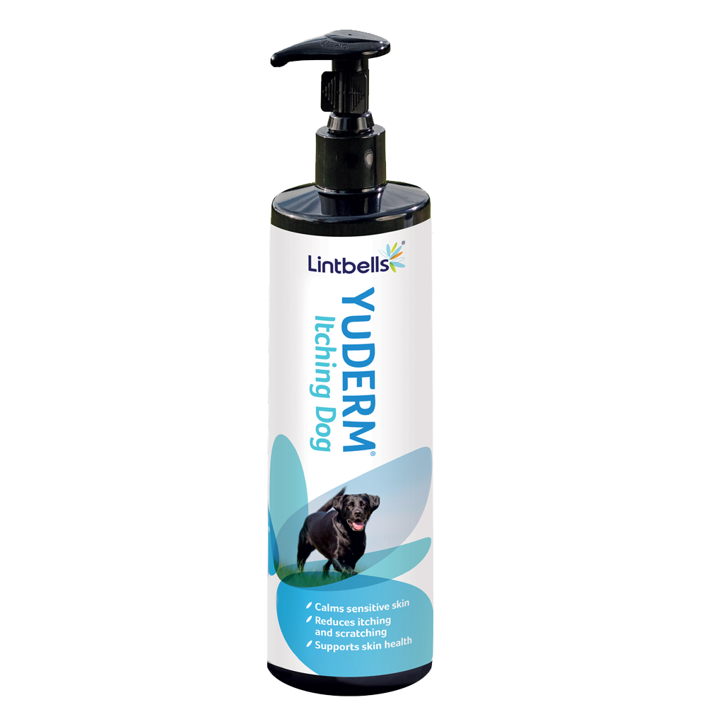 YuDerm Itching Dog - Есенциални Омега масла за кучета с чувствителна или сърбяща кожа, 500 мл