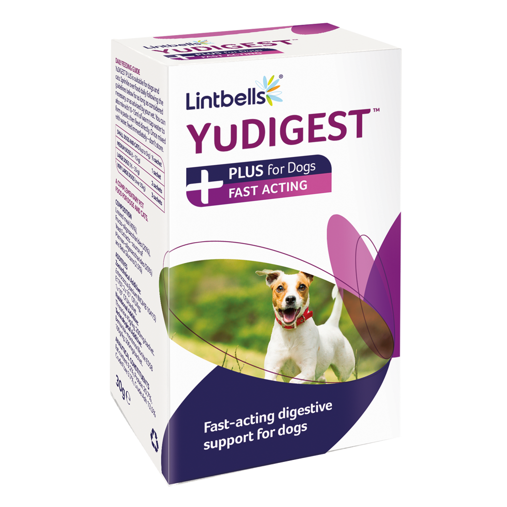 YuDIGEST PLUS for Dogs - 60 сашета