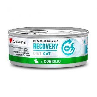 DISUGUAL RECOVERY за котки СЪС ЗАЕК 6 бр. х 85 г