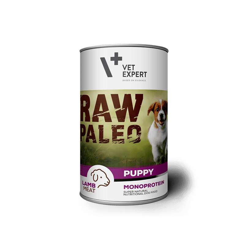 Raw Paleo Puppy Lamb – Консерва за кученца с агнешко месо, 3 бр. х 800 гр.